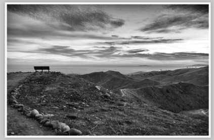 Harmon Canyon Bench in Black and White Photo