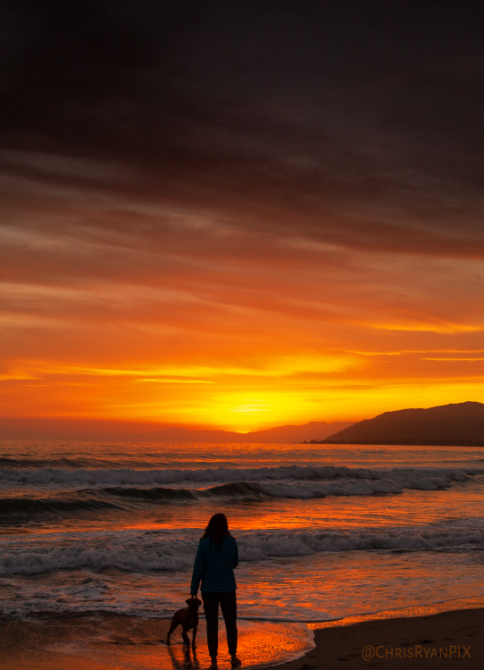 Dog Owner at Ventura Beach during Sunset