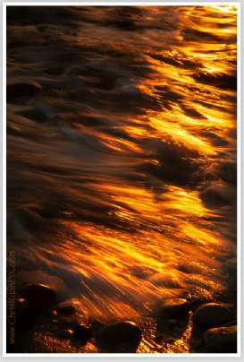 Shoreline Golden Sunset Reflection