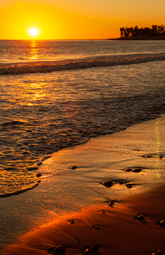 Golden Shoreline during Sunset at Ventura Beach and Surfers Point