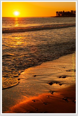 Golden Sunset along the Ventura Beach