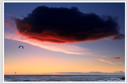Surfers Point in Ventura during Sunset at the Beach Fine Art Photo