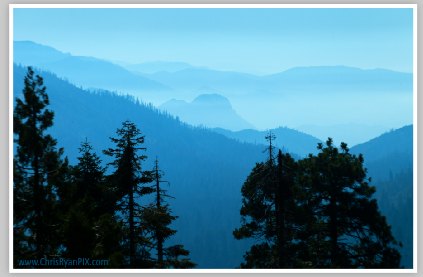 Sequoia Overlook by Chris Ryan