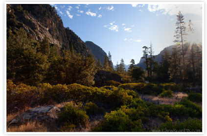 Kings Canyon Sierra Meadow