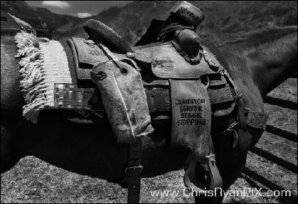 Equine Photograph of Horse Saddle in Black and White (ChrisRyanPIX)