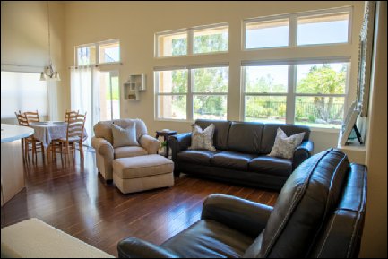 Chris Ryan Real Estate Photo of living room with big windows and sunlight (ChrisRyanPIX)