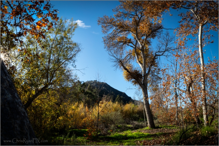 Autumn Colors (Big Rock Preserve)