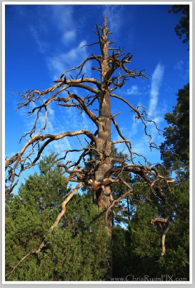 Sierra Deadwood by Chris Ryan