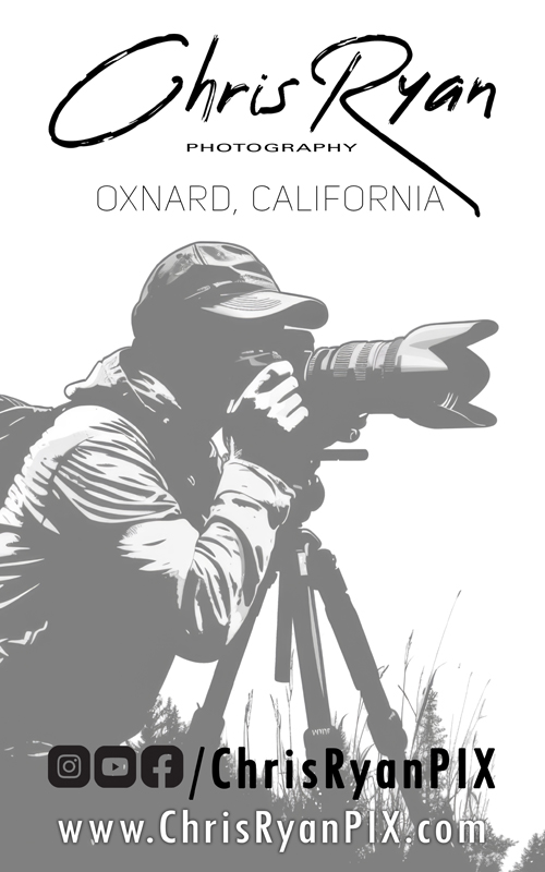 Chris Ryan (Oxnard) Contact Information