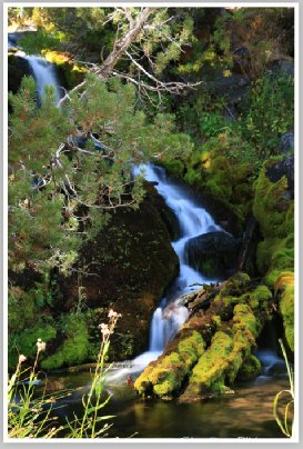 Lassen National Park Cascading Creek