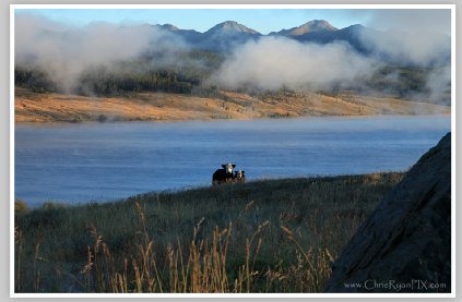 Gunnison Colorado Pasture by Chris Ryan