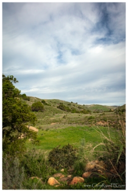 Open Space View (Harmon Canyon)