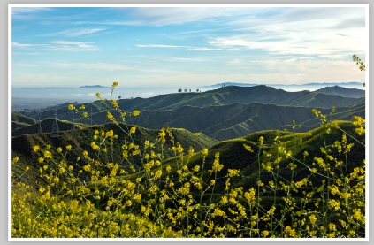 Harmon Canyon thru Wild Mustard