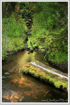 Lassen National Park Creek
