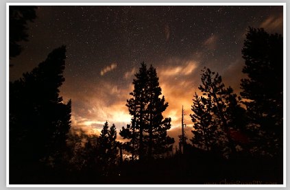 Stars over Forest II by Chris Ryan