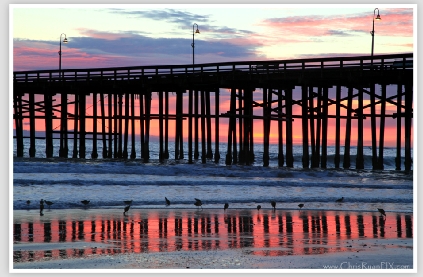 Purple Sunset and Birds at the Ventura Pier