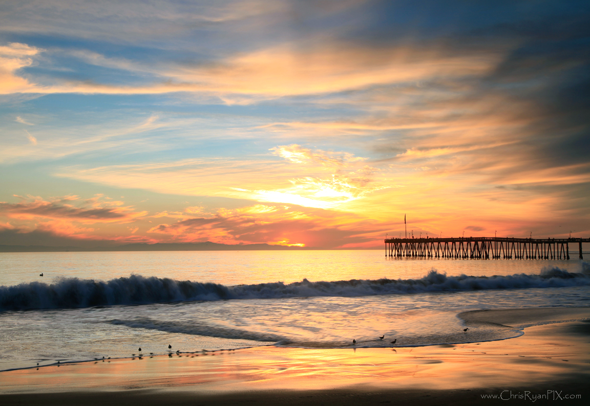 Golden Ventura Shoreline with Birds and Pier