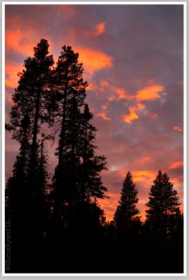 Sierra Sunset over Wilderness by Chris Ryan