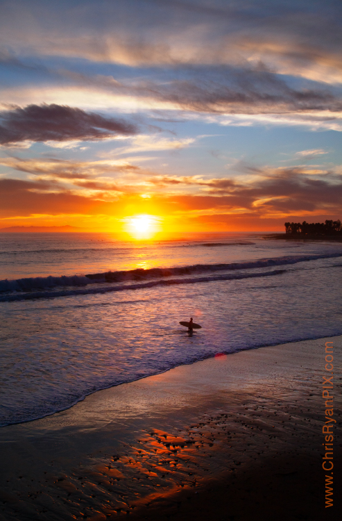 Surfing in Ventura during Sunset