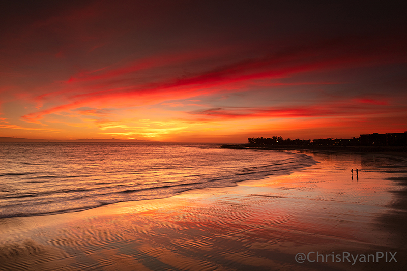 San Buenaventura State Beach Sunset with Shorebird