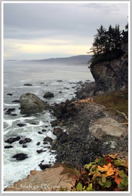 Hidden Coast in California