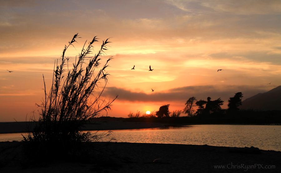 Beautiful Ventura River during Sunset with Birds