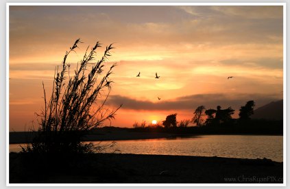 Golden Sunset along the Ventura River