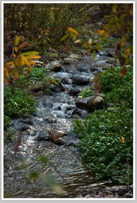 Big Rock Preserve Ventura River II