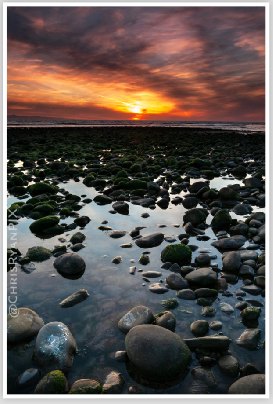 Ventura Harbor Rocky Shoreline