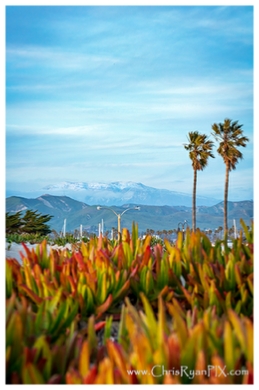 Ventura Harbor with Topa Topa in background