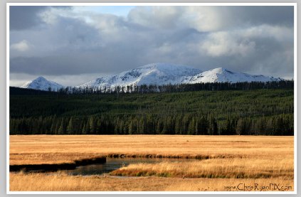 Yellowstone Meadow by Chris Ryan