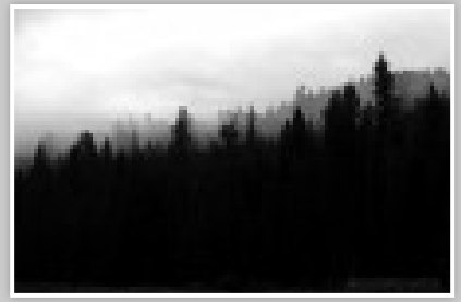 Yosemite Tundra by Chris Ryan