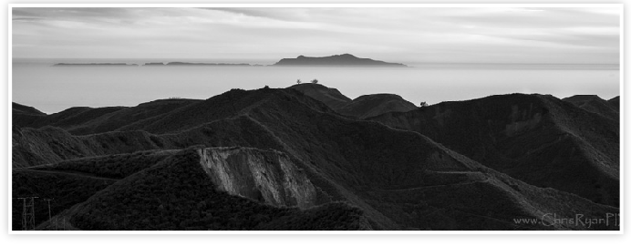 Two Trees viw with Channel Islands Ventura