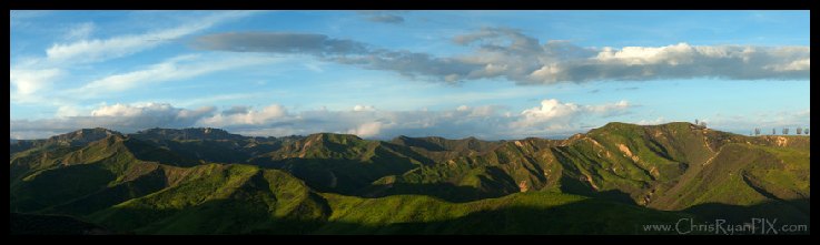 Rolling Green Ventura Hillsides (Two Trees)