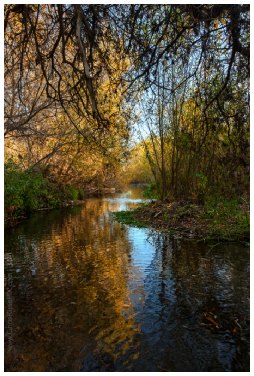 Ventura River - Big Rock Preserve (Ventura Land Trust)