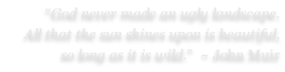 “God never made an ugly landscape.  All that the sun shines upon is beautiful,  so long as it is wild.”  ~ John Muir