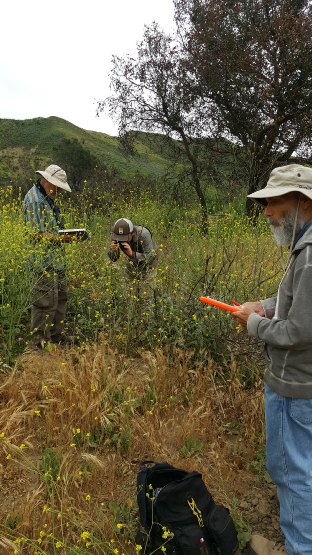 Ventura Wildflower Hiking Photo Tours