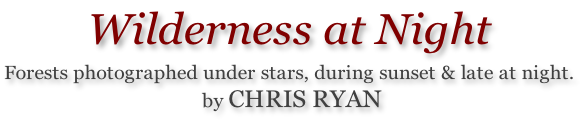 Wilderness at Night  Forests photographed under stars, during sunset & late at night.  by CHRIS RYAN