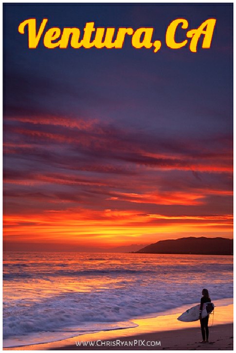 Two Baby Hummingbirds in nest