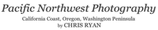Pacific Northwest Photography  California Coast, Oregon, Washington Peninsula  by CHRIS RYAN
