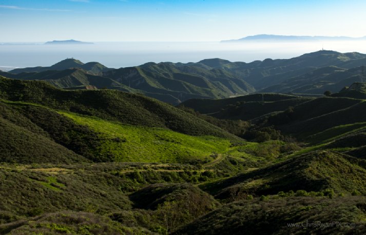 Two Trees (Sexton Canyon) View