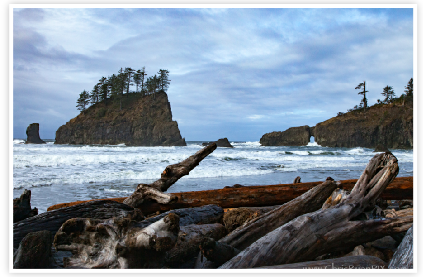 Olympic National Park Coastline Caves (Second Beach)