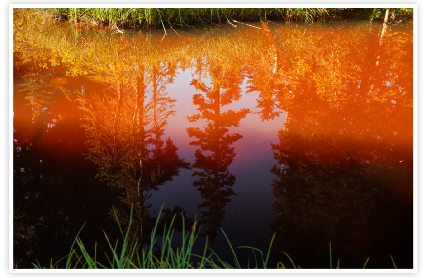 Rustic River