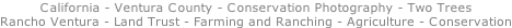 California - Ventura County - Conservation Photography - Two Trees Rancho Ventura - Land Trust - Farming and Ranching - Agriculture - Conservation