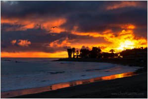 Surfers Point (Photography Workshops in Ventura)