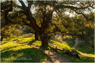 Photography Tours (Ventura Land Trust)