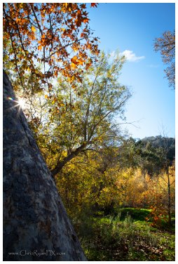 Autumn Sunshine (Big Rock)
