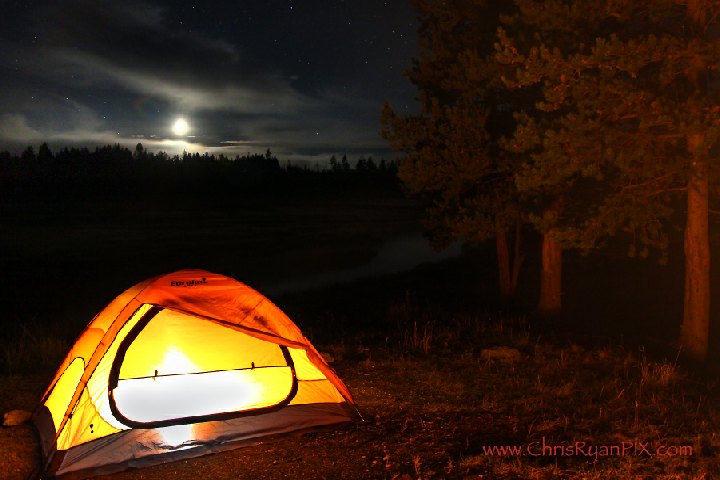 Redwoods Wilderness