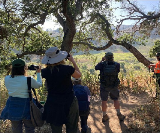 Ventura Photo Tours (Guided by Chris Ryan)