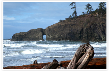 Olympic National Park Coastline (Second Beach)